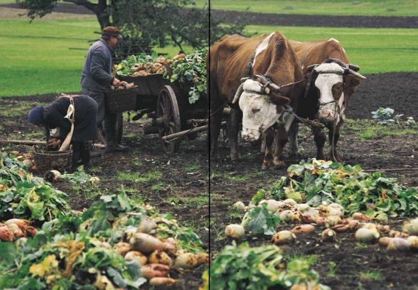 Produktbild: Echte Bauern retten die Welt!
