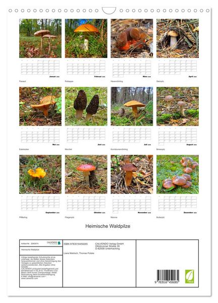 Produktbild: Heimische Waldpilze (Wandkalender 2026 DIN A3 hoch), CALVENDO Monatskalender