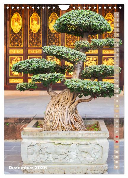 Produktbild: Bonsai: Gartenkunst im Kleinen (Wandkalender 2026 DIN A4 hoch), CALVENDO Monatskalender