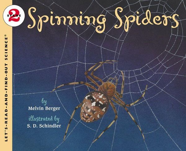 Produktbild: Spinning Spiders
