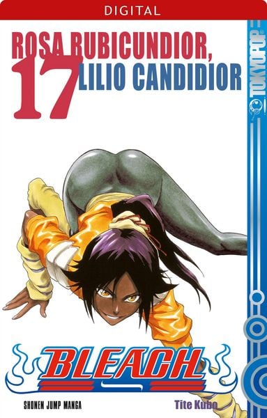 Produktbild: Bleach 17
