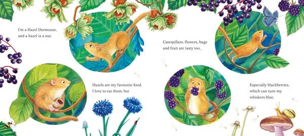 Produktbild: I am Dandy the Dormouse