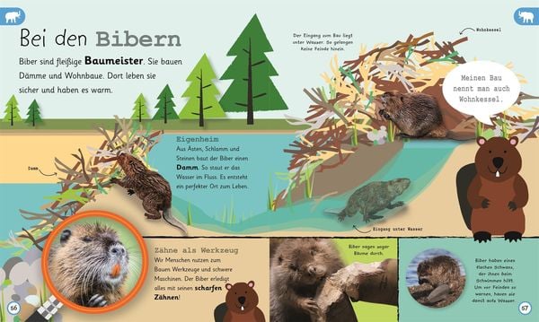 Wissen für Vorschulkids. Was weißt du über Tiere?
