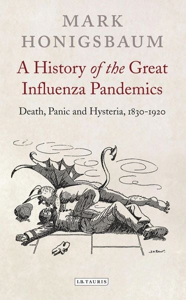 Produktbild: A History of the Great Influenza Pandemics