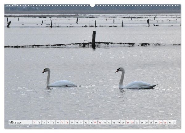 Produktbild: Hochwasser als Teil der Umwelt (hochwertiger Premium Wandkalender 2026 DIN A2 quer), Kunstdruck in Hochglanz