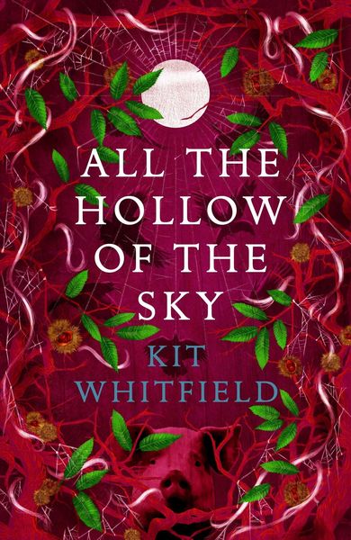 Produktbild: Whitfield, K: All the Hollow of the Sky