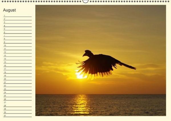 Produktbild: Colours by the sea / Birthday Calendar / UK-Version (Wall Calendar perpetual DIN A2 Landscape)
