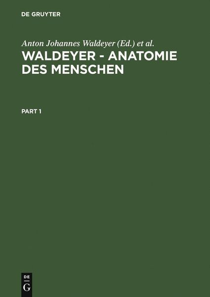 Produktbild: Waldeyer - Anatomie des Menschen