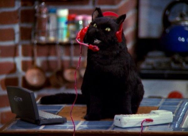 Produktbild: Sabrina - Die komplette Staffel 5 [4 DVDs]