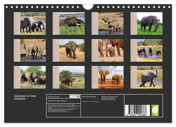 Produktbild: Elefanten in freier Wildbahn (Wandkalender 2026 DIN A4 quer), CALVENDO Monatskalender