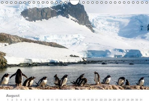 Produktbild: ANTARKTIS (Wandkalender immerw&auml;hrend DIN A4 quer)