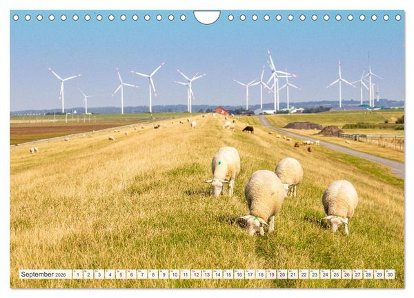 Produktbild: Urlaub in Nordfriesland (Wandkalender 2026 DIN A4 quer), CALVENDO Monatskalender