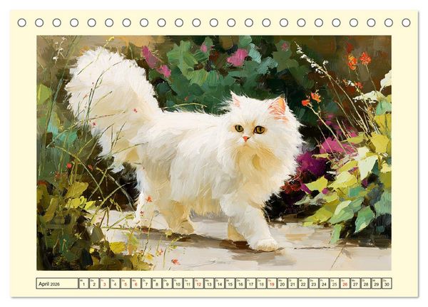 Produktbild: Perserkatzen. Flauschige Momente in kunstvoller &Ouml;loptik (Tischkalender 2026 DIN A5 quer), CALVENDO Monatskalender