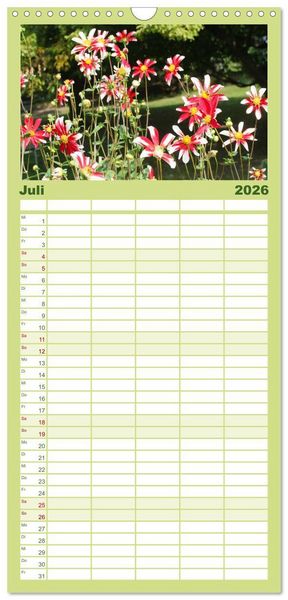 Produktbild: Familienplaner 2026 - Traumhafte Dahlien mit 5 Spalten (Wandkalender, 21 x 45 cm) CALVENDO