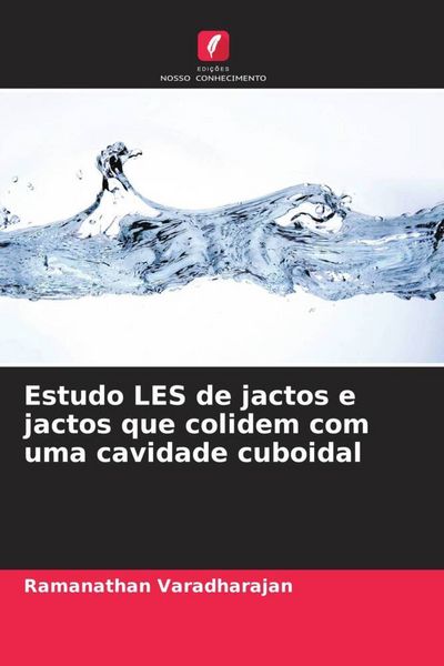 Produktbild: Estudo LES de jactos e jactos que colidem com uma cavidade cuboidal