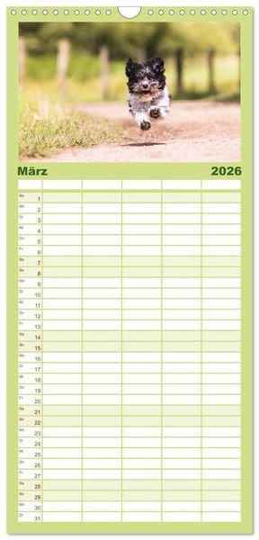 Produktbild: Familienplaner 2026 - Spa&szlig; mit Havanesern mit 5 Spalten (Wandkalender, 21 x 45 cm) CALVENDO