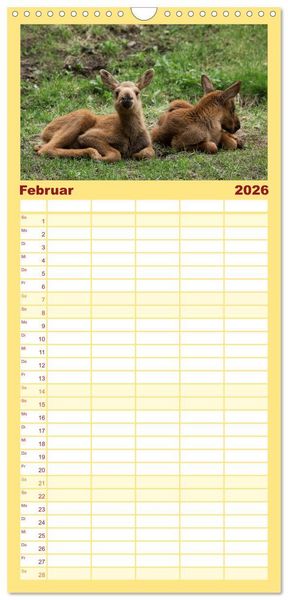 Produktbild: Familienplaner 2026 - Tierbabys 2026 mit 5 Spalten (Wandkalender, 21 x 45 cm) CALVENDO