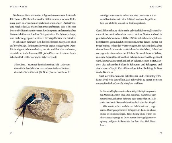 Produktbild: &Uuml;ber die Schwalbe