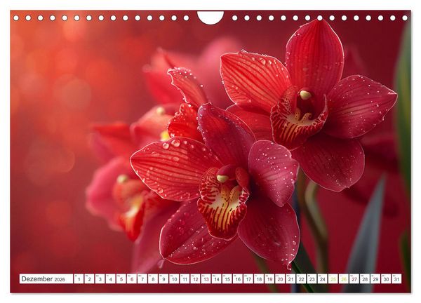 Produktbild: Orchideen - farbenfroh durchs Jahr (Wandkalender 2026 DIN A4 quer), CALVENDO Monatskalender