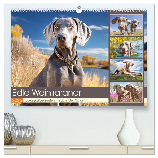 Produktbild: Edle Weimaraner. Loyale Silberseelen im Licht der Natur (hochwertiger Premium Wandkalender 2026 DIN A2 quer), Kunstdruck in Hochglanz