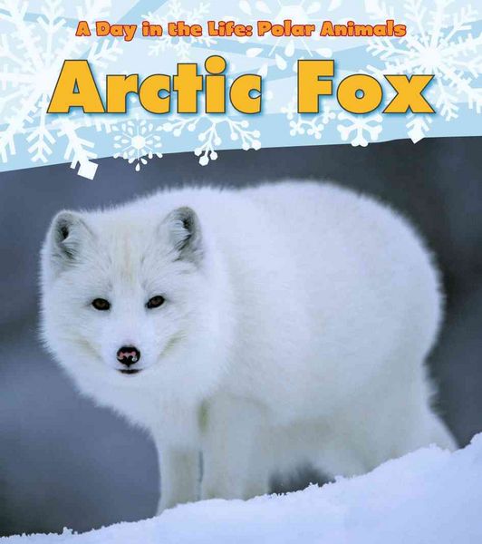 Produktbild: Arctic Fox