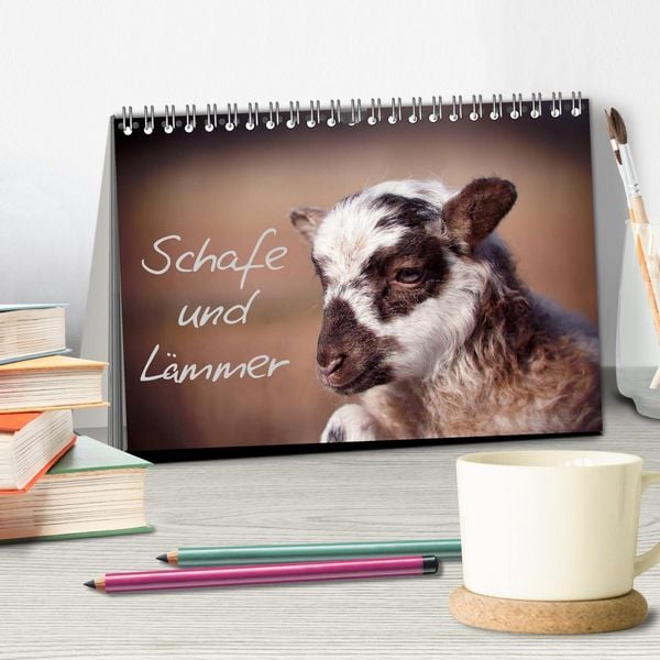 Produktbild: Schafe und L&auml;mmer (Tischkalender 2026 DIN A5 quer), CALVENDO Monatskalender