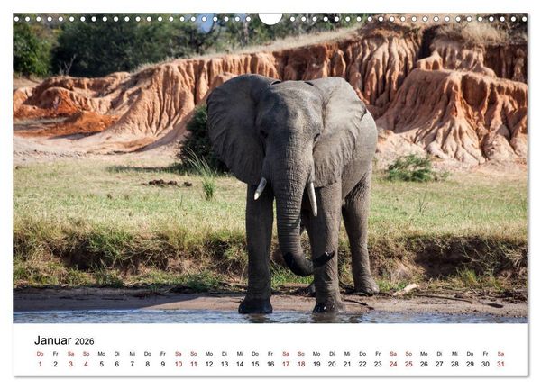 Produktbild: Sambia und der Sambesi (Wandkalender 2026 DIN A3 quer), CALVENDO Monatskalender