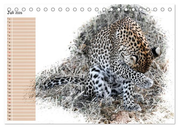 Produktbild: Tierisches Yoga (Tischkalender 2026 DIN A5 quer), CALVENDO Monatskalender