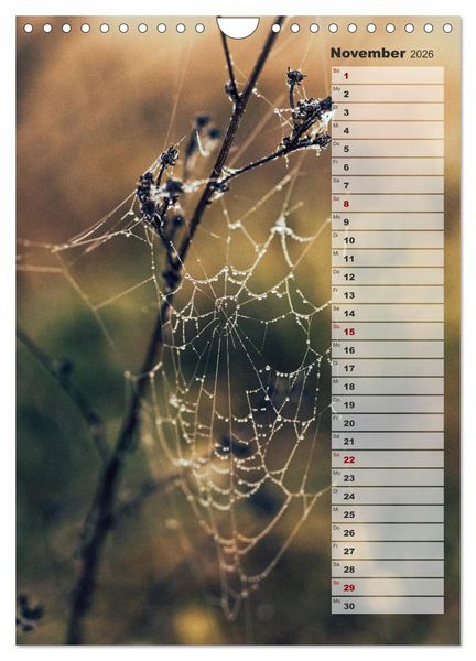 Produktbild: Kalender - Natur im Detail (Wandkalender 2026 DIN A4 hoch), CALVENDO Monatskalender