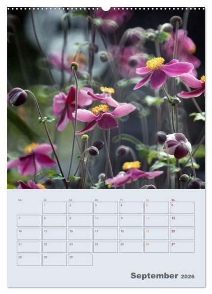 Produktbild: Magie im Garten (Wandkalender 2026 DIN A2 hoch), CALVENDO Monatskalender