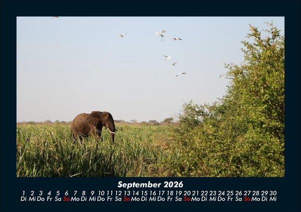 Produktbild: Bilder der Natur 2026 Fotokalender DIN A5