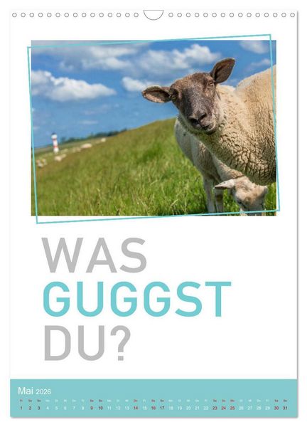 Produktbild: Tierisch bekloppt! (Wandkalender 2026 DIN A3 hoch), CALVENDO Monatskalender