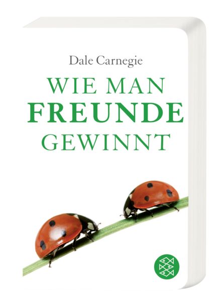 Wie man Freunde gewinnt
