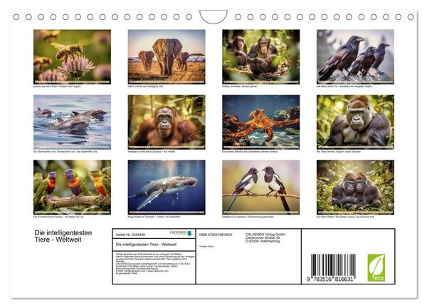 Produktbild: Die intelligentesten Tiere - Weltweit (Wandkalender 2027 DIN A4 quer), CALVENDO Monatskalender