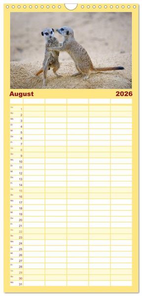 Produktbild: Familienplaner 2026 - Lustige Erdm&auml;nnchen mit 5 Spalten (Wandkalender, 21 x 45 cm) CALVENDO