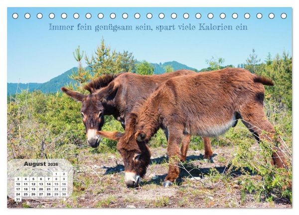 Produktbild: Tierisch und Heiter - Das Leben geht weiter 2026 (Tischkalender 2026 DIN A5 quer), CALVENDO Monatskalender