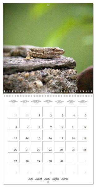 Produktbild: Blt, S: Esp&egrave;ces de Nouvelle Aquitaine (Calendrier mural carr