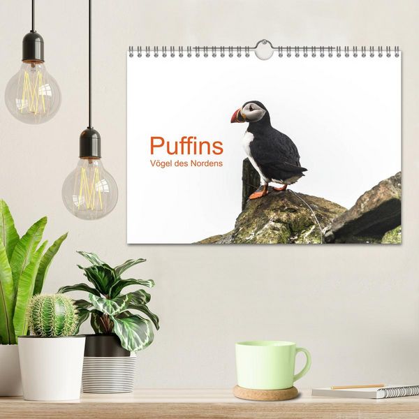 Produktbild: Puffins - V&ouml;gel des Nordens (Wandkalender 2026 DIN A4 quer), CALVENDO Monatskalender