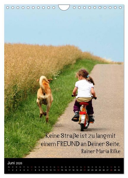 Produktbild: Der Broholmer (Wandkalender 2026 DIN A4 hoch), CALVENDO Monatskalender