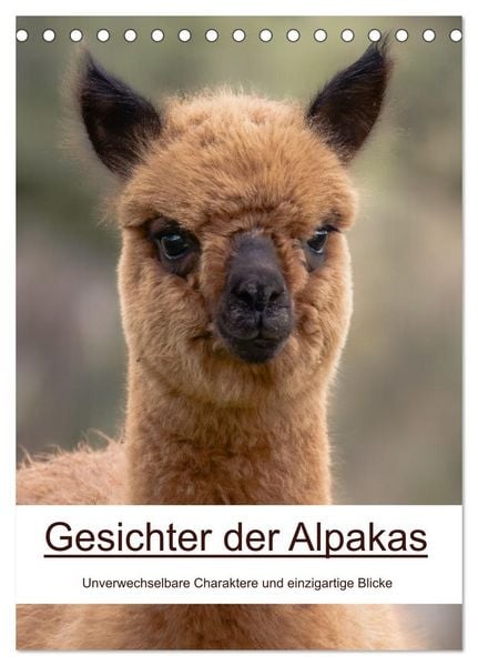 Produktbild: Gesichter der Alpakas - Unverwechselbare Charaktere und einzigartige Blicke (Tischkalender 2027 DIN A5 hoch), CALVENDO Monatskalender