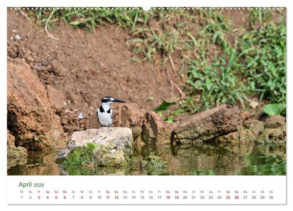 Produktbild: Tierwelten UGANDA (Wandkalender 2026 DIN A2 quer), CALVENDO Monatskalender