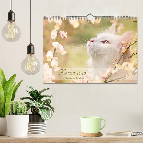 Produktbild: Katzen 2026 Bezaubernde Samtpfoten (Wandkalender 2026 DIN A4 quer), CALVENDO Monatskalender