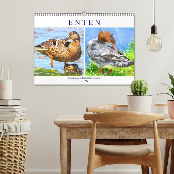 Produktbild: Enten. Bezaubernde und beliebte Schwimmer (Wandkalender 2026 DIN A3 quer), CALVENDO Monatskalender