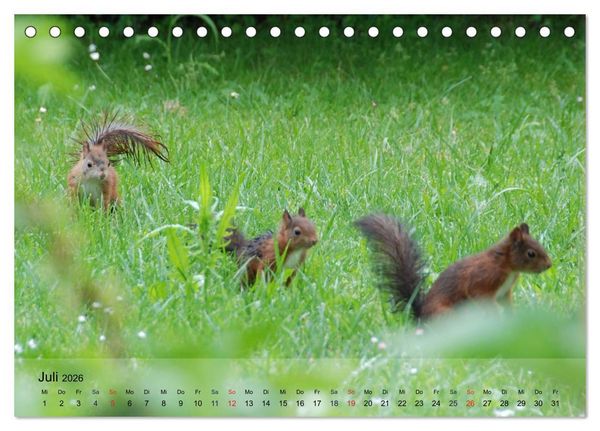 Produktbild: Spa&szlig; mit Eichh&ouml;rnchen-Kindern (Tischkalender 2026 DIN A5 quer), CALVENDO Monatskalender
