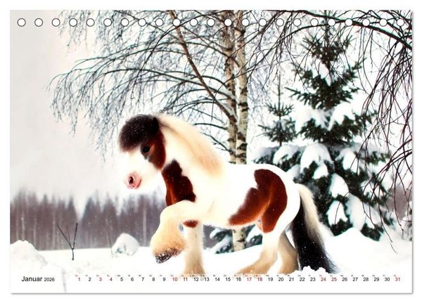Produktbild: Faszination Tinker (Tischkalender 2026 DIN A5 quer), CALVENDO Monatskalender
