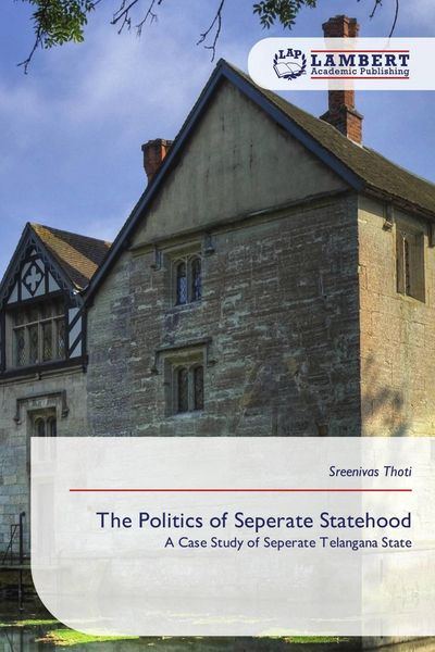 Produktbild: The Politics of Seperate Statehood