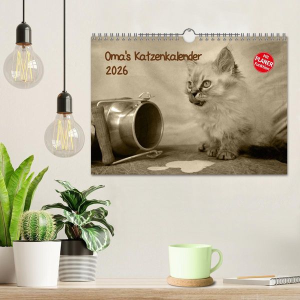 Produktbild: Oma's Katzenkalender 2026 (Wandkalender 2026 DIN A4 quer), CALVENDO Monatskalender