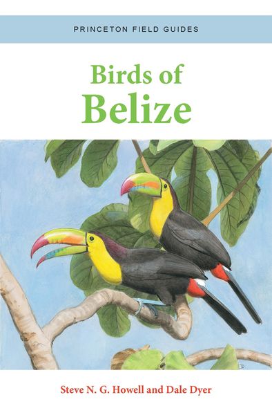 Produktbild: Birds of Belize