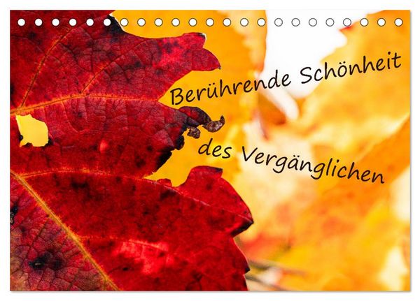 Produktbild: Ber&uuml;hrende Sch&ouml;nheit des Verg&auml;nglichen (Tischkalender 2026 DIN A5 quer), CALVENDO Monatskalender