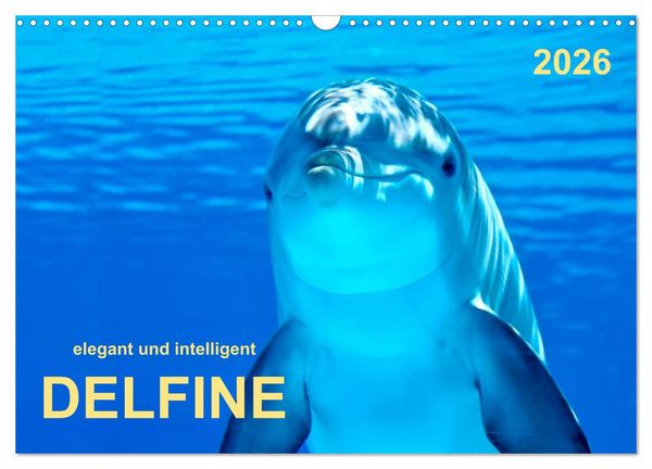 Produktbild: Delfine - elegant und intelligent (Wandkalender 2026 DIN A3 quer), CALVENDO Monatskalender